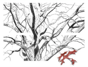 Entangled