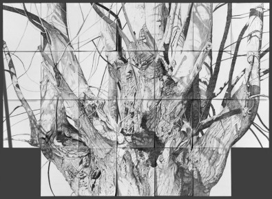 Guardian 46" x 63" graphite