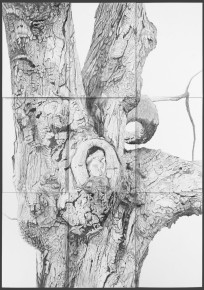 Torso IV
